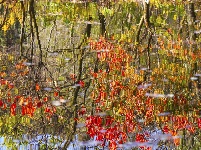 赏山水风光 看层林尽染