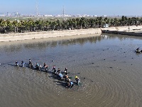 甲鱼养殖“奔”上致富路