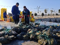 甲鱼养殖“奔”上致富路