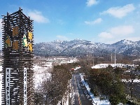 涂山晴雪