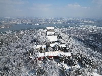 涂山晴雪