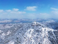 涂山晴雪