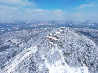 涂山晴雪