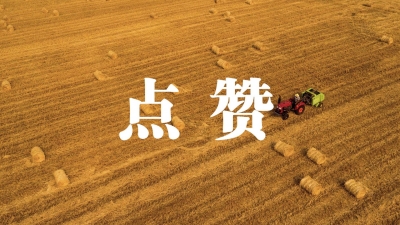 淮上区招商引资实现开门红 招引5个制造业亿元以上项目
