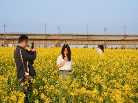 来“靓淮河”打卡油菜花海