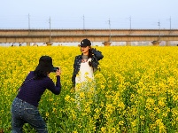 来“靓淮河”打卡油菜花海
