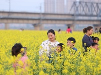 来“靓淮河”打卡油菜花海