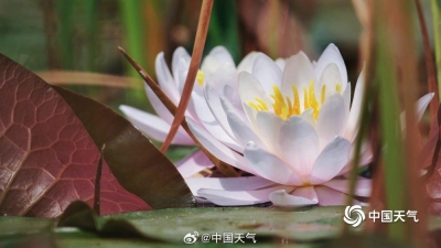 市市场监管局深入开展药械妆网络监管专项行动