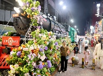 珠城邂逅清凉“夏”夜