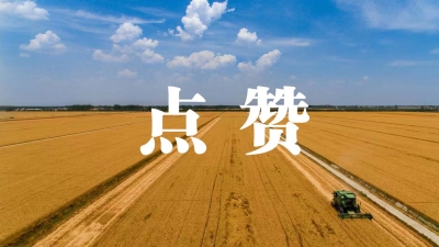 连续3年！蚌埠市获老工业基地转型升级督查激励