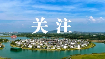 “信用蚌埠”建设为优化营商环境赋能