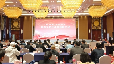 蚌埠文化产业招商推介会举行