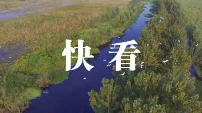 统战系统2025年度工作谋划务虚会召开