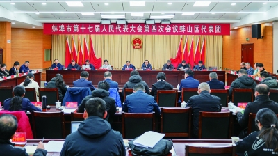 出席市十七届人大四次会议的代表分组审议市政府工作报告等4项报告