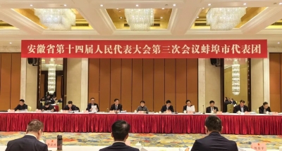 出席省十四届人大三次会议的蚌埠市代表团认真审议省人大常委会工作报告和省“两院”工作报告