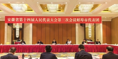 黄晓武主持召开省十四届人大三次会议蚌埠代表团全体会议