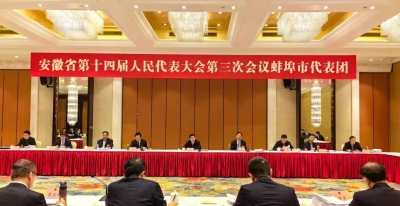 出席省十四届人大三次会议的蚌埠市代表团代表继续审议省人大常委会工作报告和省“两院”工作报告