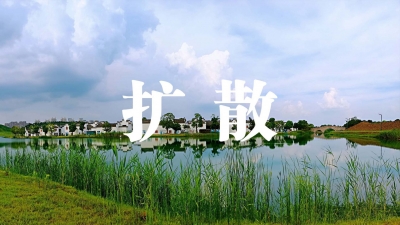 收心归位抓落实 开局起势提效能