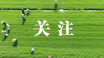 全市治理欠薪现场指挥部会议召开
