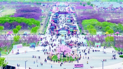 淮畔明珠绽新光