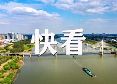 今日辟謠（2025年10月20日）