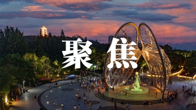 夸大災情險情 曲解民生政策 蹭炒社會熱點 網信、公安協同聯動 全力整治謠言亂象