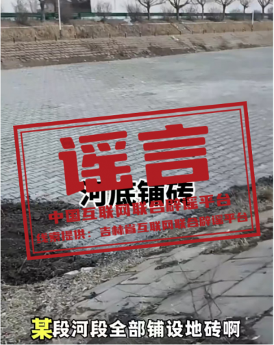 官方通报“免费采捡白菜”事件——今日辟谣（2025年11月18日） 